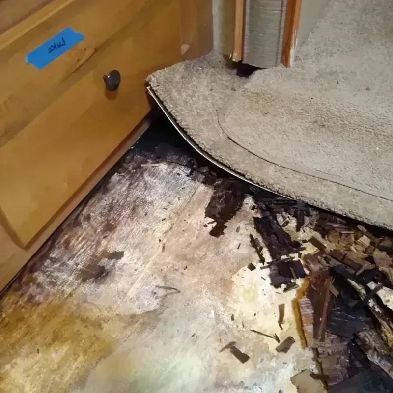 Wood Floor Water Damage in Paterson, NJ